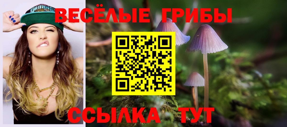 Петровск  Галлюциногенные грибы Psilocybine cubensis  Псилоцибиновые грибы мухоморы  цены   Вход с VPN 