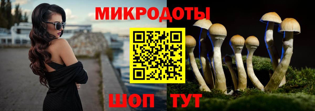 Галлюциногенные грибы мухоморы Петровск